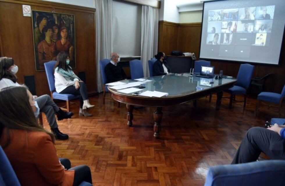 Especialistas chinos presentaron los protocolos de salud de su región a Mendoza