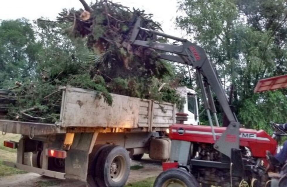 Anisacate: completan el retiro de poda en distintos barrios
