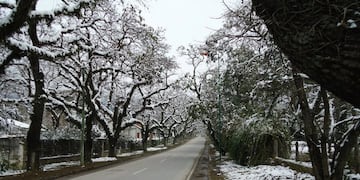 Gran nevada en Salta en julio del 2010 (Facebook Osvaldo Oscar Ibañez)