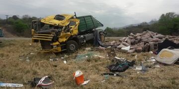 Un camionero murió en la ruta 34 tras chocar con una vaca\u002E (Policía de Salta)