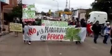 Periqueños marcharon contra el plan para el cultivo de cannabis medicinal