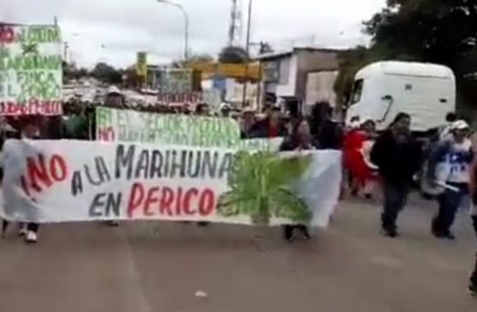 Periqueños marcharon contra el plan para el cultivo de cannabis medicinal