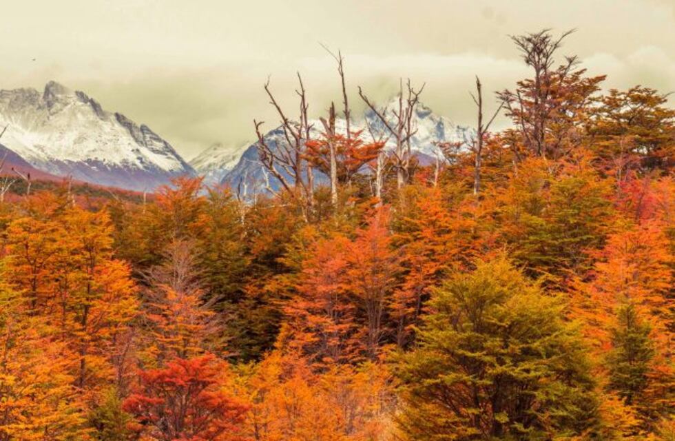 Lanzaron la campaña "conoce Tierra del Fuego desde tu casa"
