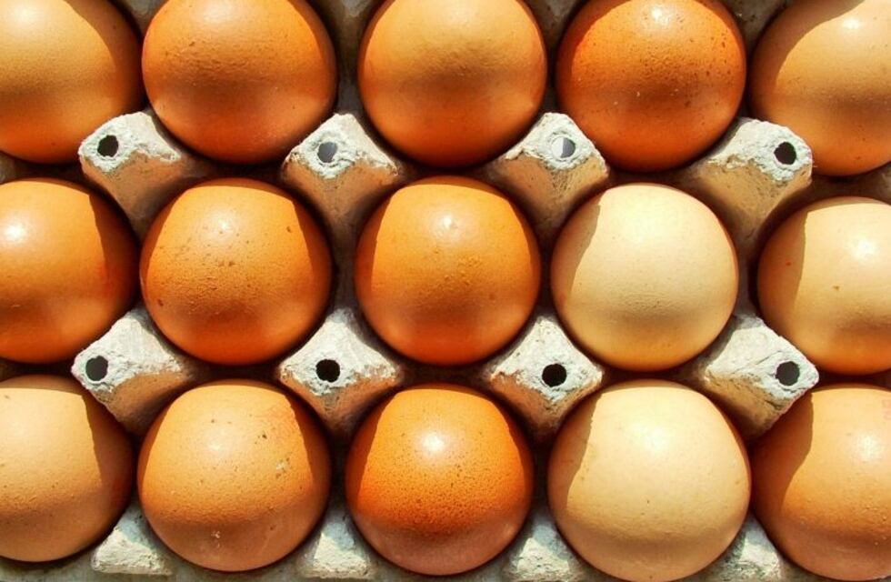 Se celebra la Semana Mundial del Huevo para difundir sus beneficios alimenticios