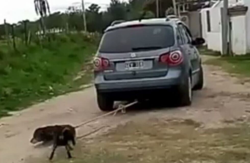 Ató a un perro a su auto y lo arrastró varios metros: quedó detenido