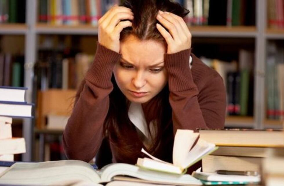 Según el ministerio de Trabajo de Nación: El 13,9% de los jóvenes no estudia ni trabaja en Tierra del Fuego