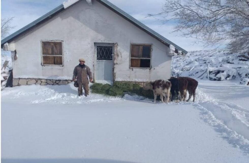 Vendió sus animales y compró una computadora para seguir estudiando