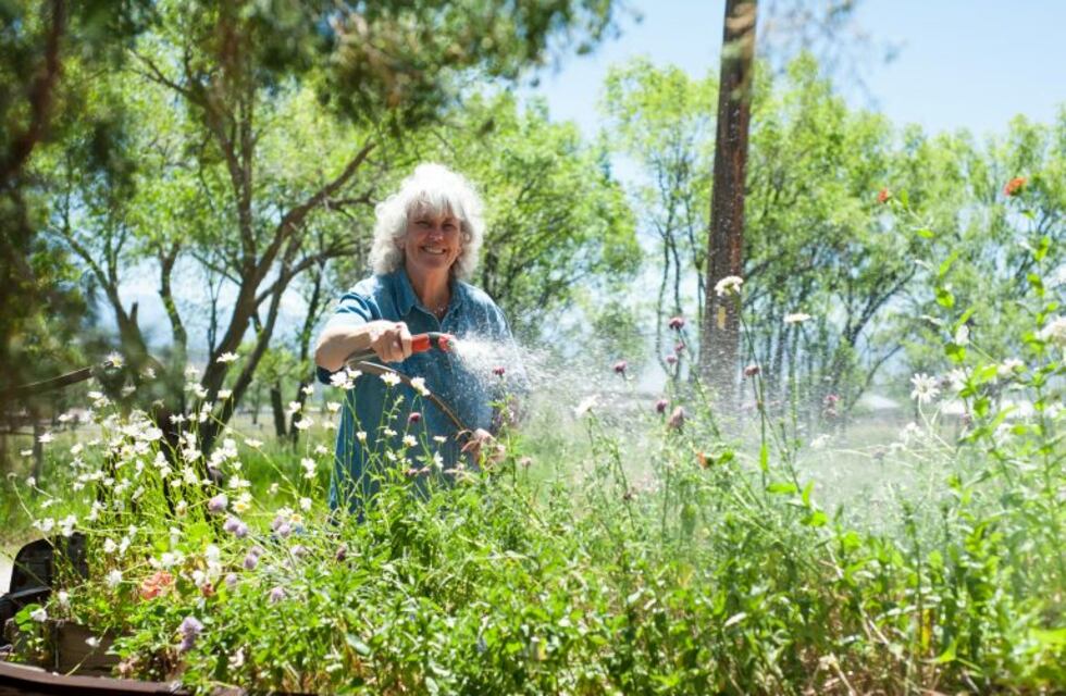 ¿Por qué no hay que descuidar el riego de las plantitas que recién brotan?