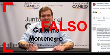 No, no es Montenegro quien afirma que "los negros" votaron al kirchnerismo porque "quieren asado y vino de cajita"