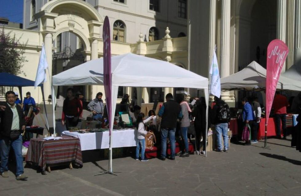 Presentaron la propuesta de El Carmen como destino turístico invernal