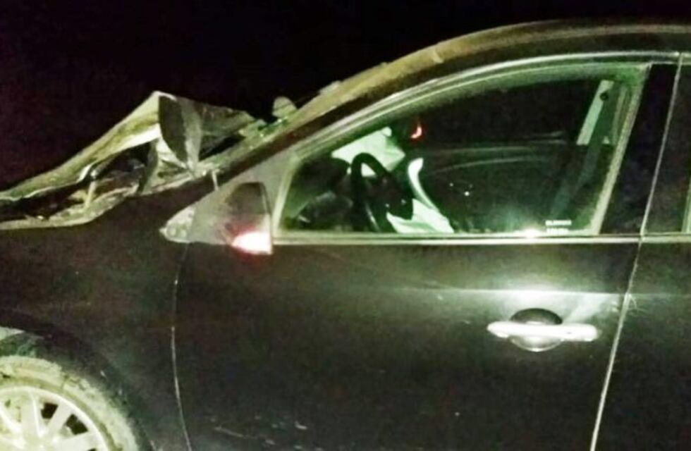 Un auto conducido por un policía atropelló una vaca en la Ruta 10