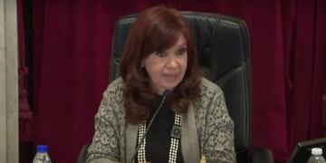 El cruce entre Martín Lousteau y Cristina Kirchner en el Senado: \