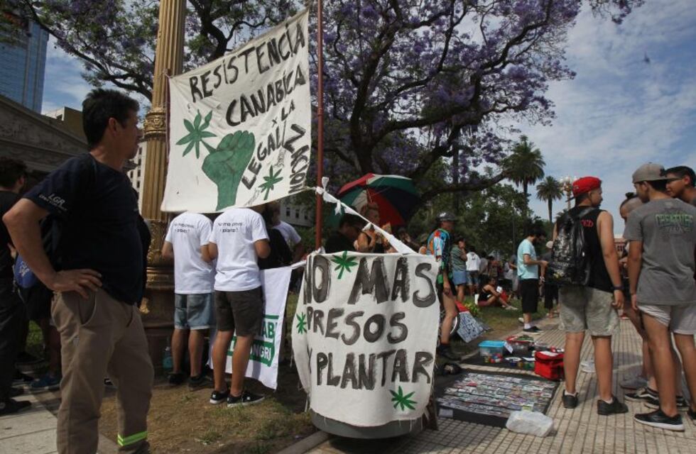 Marcharon al Congreso por la legalización del cannabis para todo uso