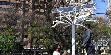 Arbol solar en Córdoba