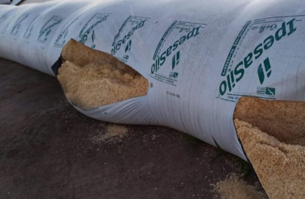 General Cabrera: presos por acercarse a silobolsas