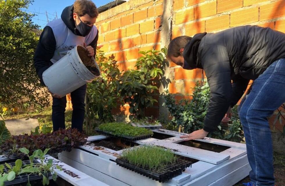 Instalaron una huerta comunitaria en un comedor de Los Hornos