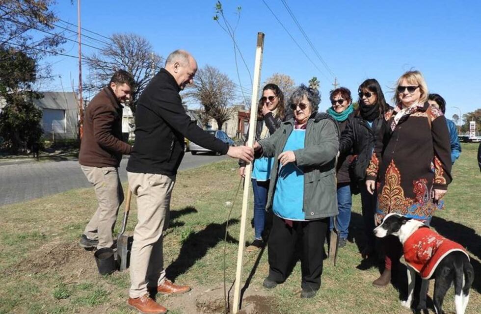 Día del Árbol: forestaron calle Alem entre Gutierrez y Saavedra