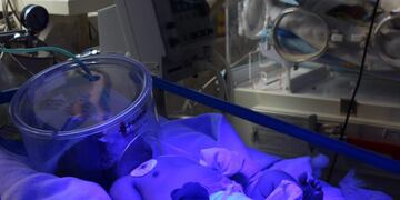 Evolucionan favorablemente los bebés internados con coronavirus