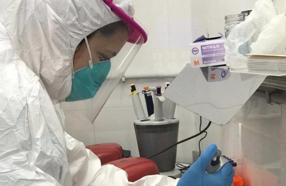 Coronavirus en Neuquén: dos nuevos casos, relacionados a la ola de contagios