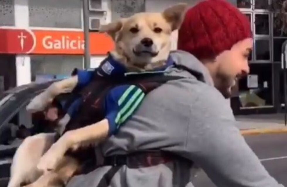 Pablo Granados sorprendió a un ciclista que trasladaba a su perro por Pellegrini