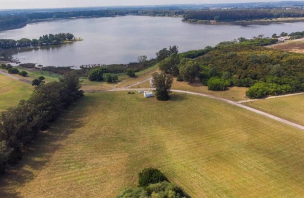 Defensoría del Pueblo se opone a la construcción de caniles en Laguna de los Padres