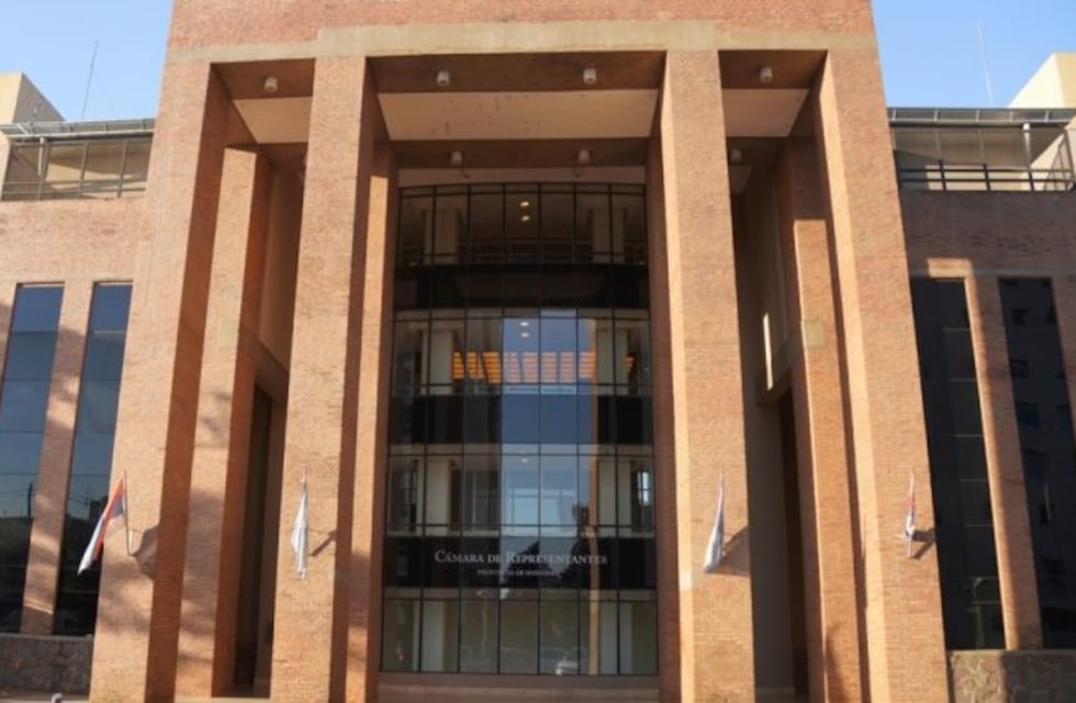 Dos vacantes en la Legislatura misionera tras la elección de Herrera Ahuad y Hartfield como diputados nacionales