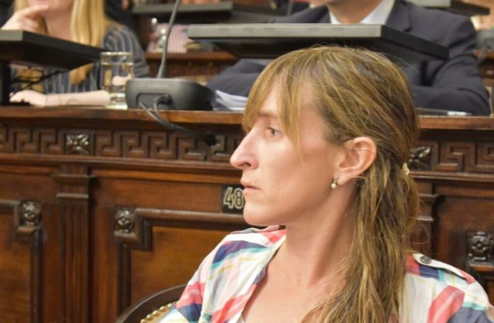 El Partido Demócrata rompió con Cambia Mendoza