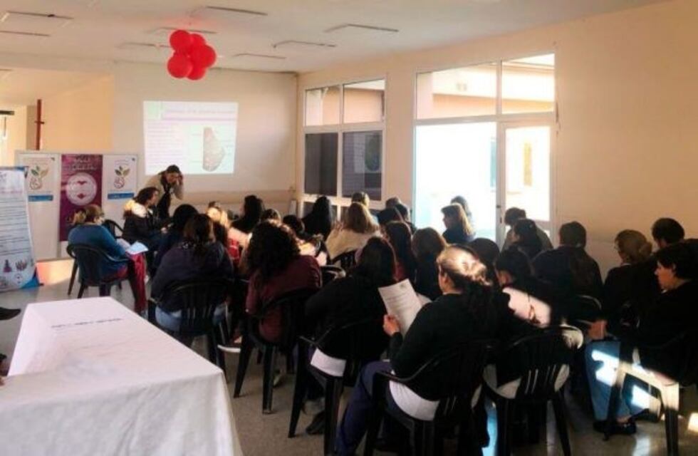 El hospital de Concepción trabaja para concretar el "Centro Amigo de la Madre y el Niño"