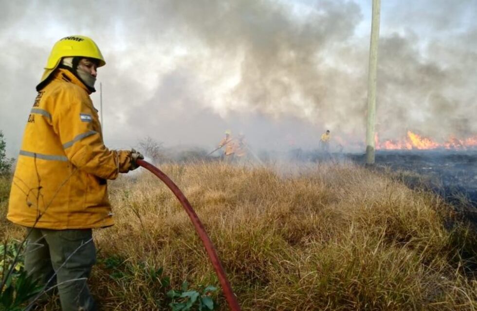 Finalmente extinguieron el incendio forestal en Villa Unión