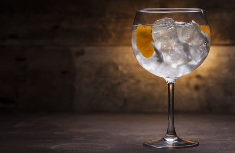 Gin Tonic, una moda que llegó para quedarse