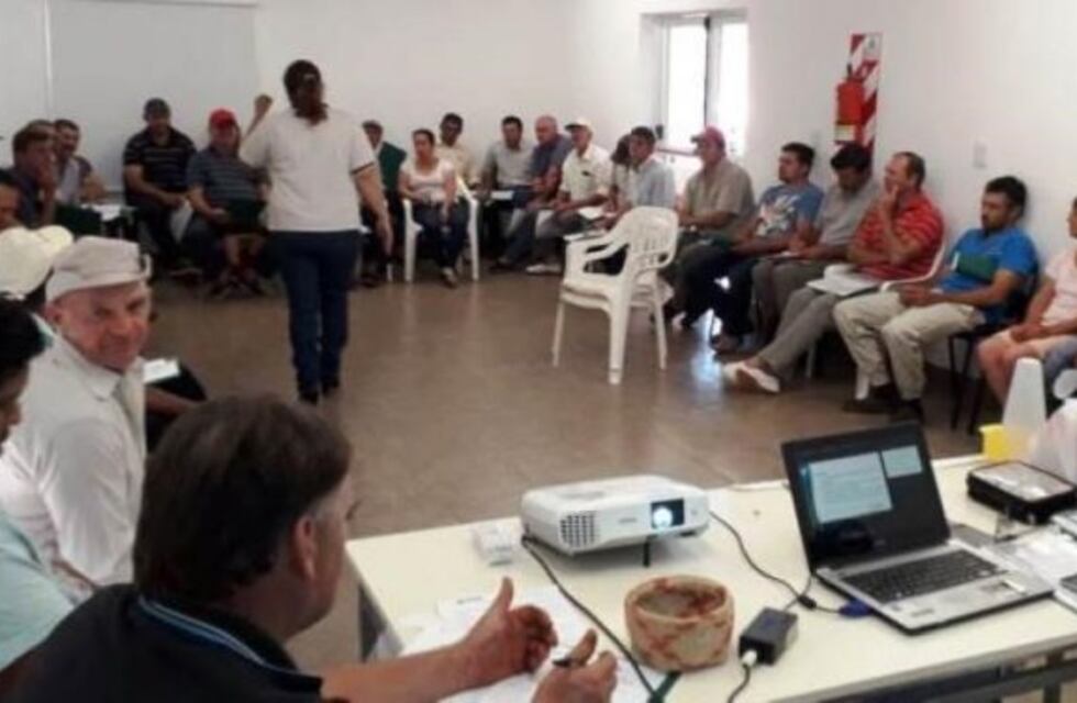 Yerbateros de Dos de Mayo recibirán asistencia para mejorar el rendimiento