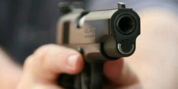 La perra fue ejecutada de un disparo (imagen ilustrativa)\u002E