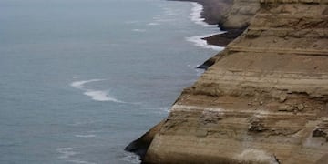 La Lobería desarrolla una colonia mixta de cormoranes grises y roqueros