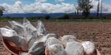 La esperada 7ª edición del Festival del Alfajor en La Viña (Facebook Alfajores Artesanales Talapampa)