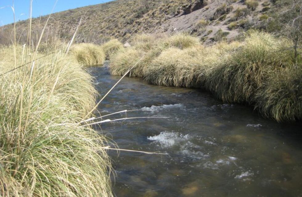 Cayó a un arroyo tras chocar con un puente en Mendoza