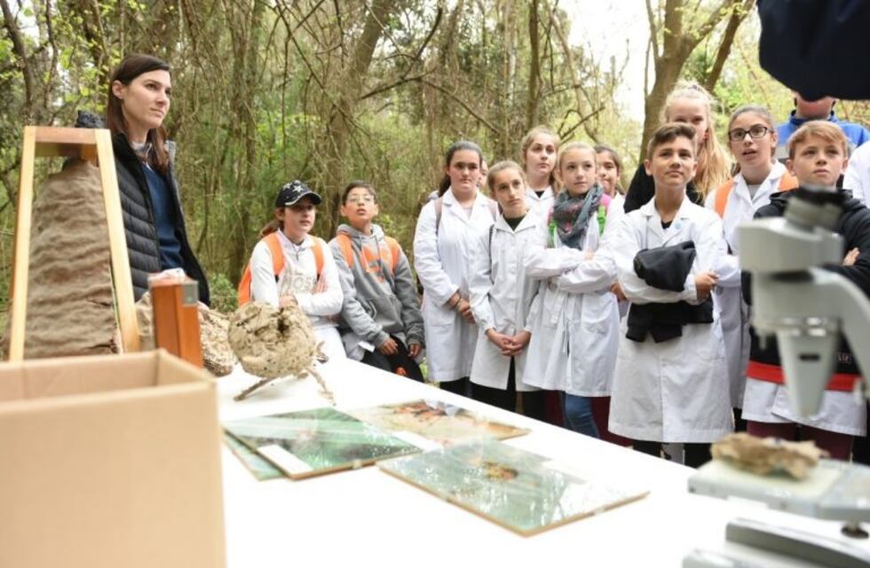 Cuatrocientos alumnos de escuelas primarias participaron de la Caminata de la Ciencia en el Bosquecito Besaccia