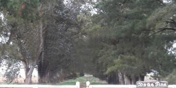 Roban tractor en establecimiento Doña Ana
