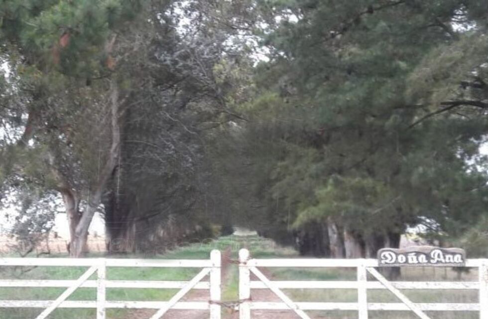 Roban tractor y herramientas en un establecimiento rural
