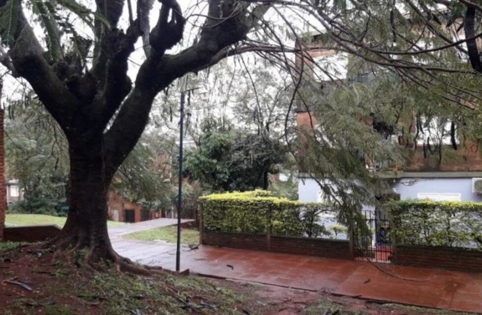 Se alcanzaron las firmas necesarias para la nueva iluminación interna del Barrio Yerbal Viejo