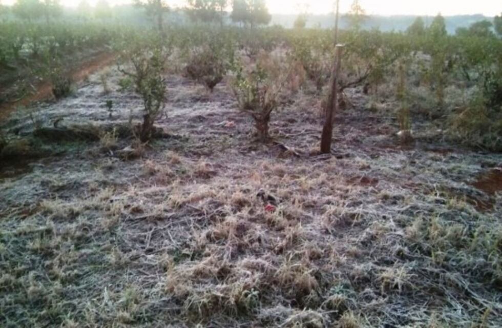 Heladas para el miércoles pronosticó el meteorólogo Marcelo Kusik