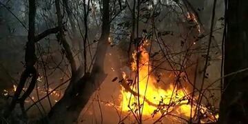 A última hora se produjeron dos nuevos incendios forestales en Jujuy