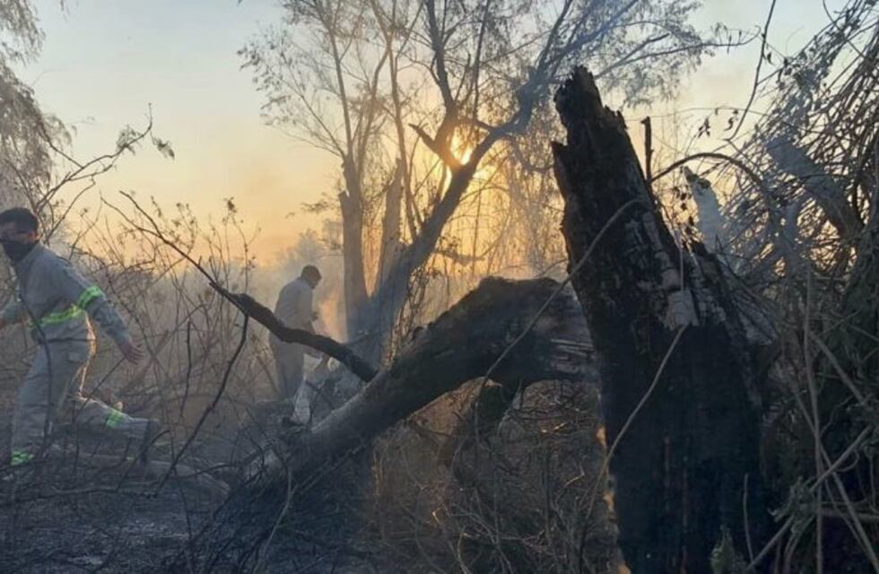 La Nación busca unir a las provincias para frenar incendios en las islas