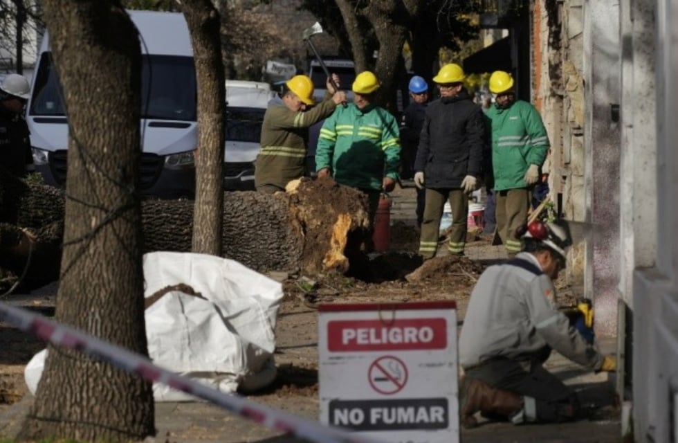 Removieron un árbol y rompieron un caño de gas: alarma, evacuación y terror en Rosario