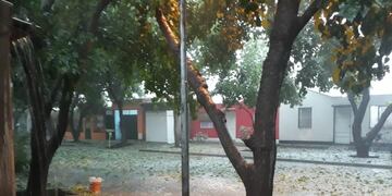 Hay alerta por tormentas fuertes en San Rafael y General Alvear.
