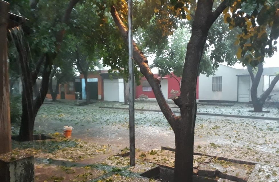 Alerta amarillo por tormentas fuertes y caída de granizo