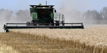 Rio Cuarto, cosecha de trigo campo cosechadora acopio agro agroindustria maquinaria agricola espiga rastrojo siembra 
19 diciembre 2019 foto tomy fragueiro