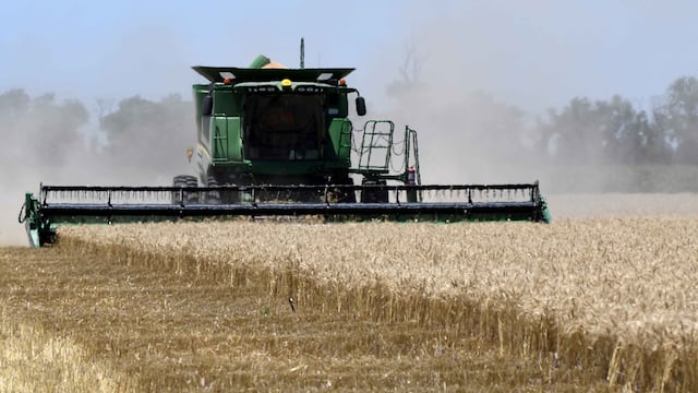 Rio Cuarto, cosecha de trigo campo cosechadora acopio agro agroindustria maquinaria agricola espiga rastrojo siembra 
19 diciembre 2019 foto tomy fragueiro