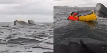 El increíble hecho quedó registrado en video.