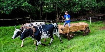 Este fin de semana se realizará la Fiesta Provincial del Carro en Alba Posse.