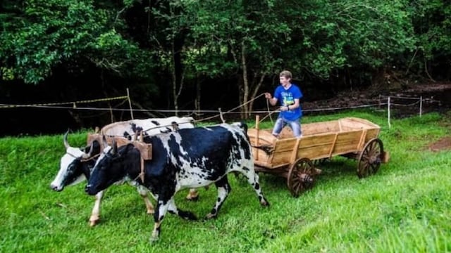 Este fin de semana se realizará la Fiesta Provincial del Carro en Alba Posse.